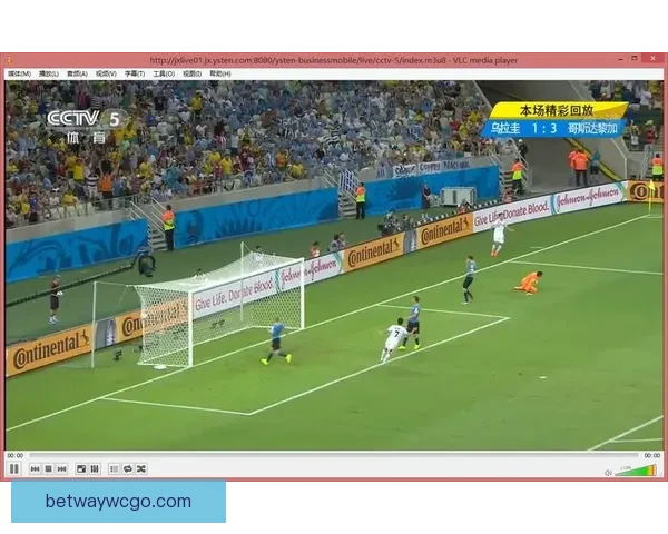 激情四射世界杯直播全程回顾精彩瞬间与赛场激情碰撞