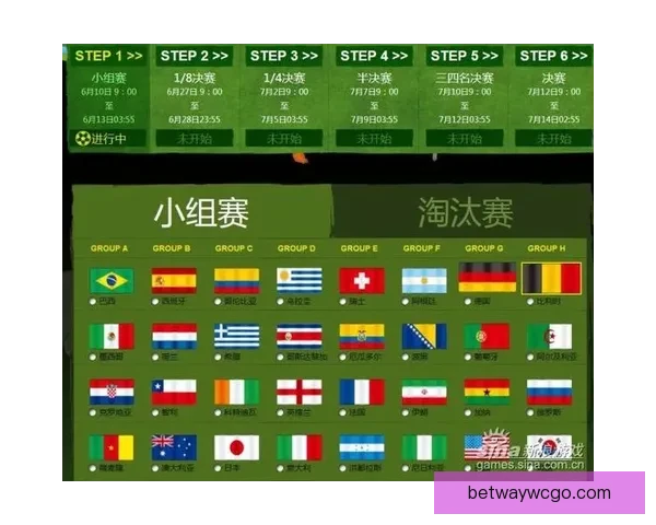 全新世界杯竞猜平台开启，畅享精准赛事预测与大奖挑战